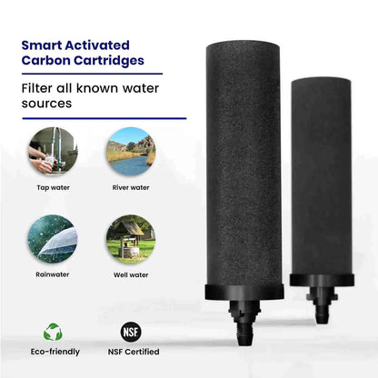 Smart Carbon Cartridges