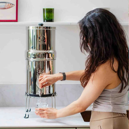 The Phoenix Gravity Water Filter