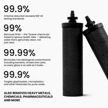 Two black cylindrical water filter cartridges shown on a white background with large marketing text about chlorine reduction, PFAS removal, microbiological contaminants, and other contaminants.